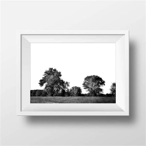 Black And White Trees Print Trees Photo Trees Print Nature Wall Art