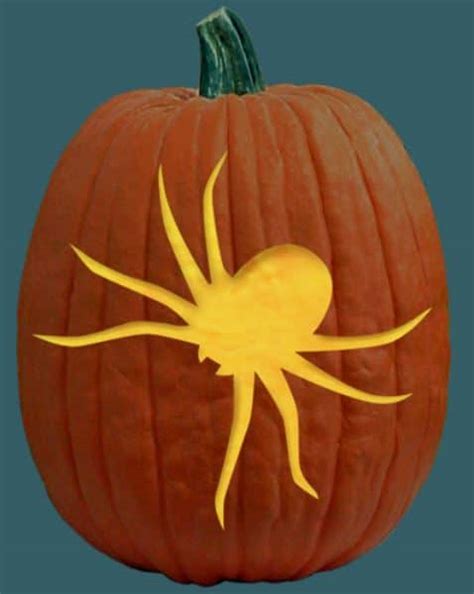 Big Spider Pumpkin Carving Entomo Farms