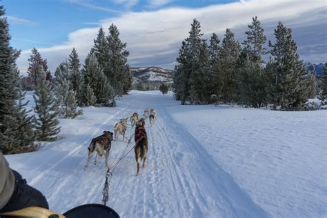 Colorado Dog Sledding And Winter Adventures At Snow Mountain Ranch