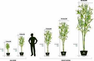 Plant Pot Sizes Chart Plant Ideas