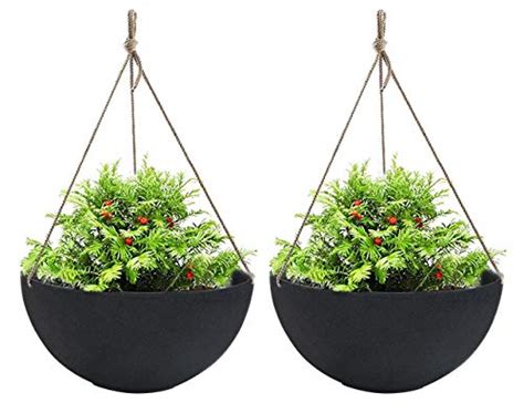 10 Best Outdoor Hanging Plants For Full Sun In 2021 February Update