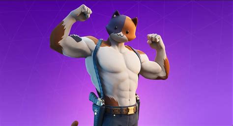 Fortnite Fans Are Cosplaying As Meowscles Using Real Cats