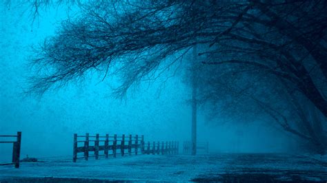 Free Images Tree Winter Fog Mist Bridge Sunlight Morning Frost
