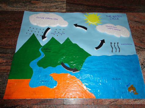 Kids Theme Project Water Cycle
