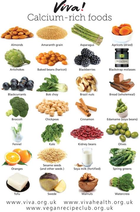 Calcium Rich Foods Wallchart Foods With Calcium Vegan Nutrition