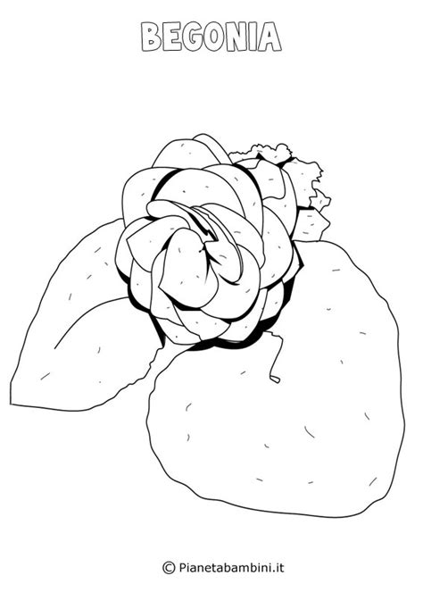 Pagine da colorare stampabili gratuitamente su tantissime tematiche, da stampare e colorare. Disegni di Fiori di Primavera da Stampare e Colorare ...