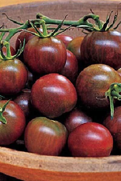 8 Great Heirloom Tomato Varieties To Grow For Incredible Flavor