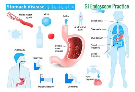 Information About Stomach Disease Stomach Disease Infographic