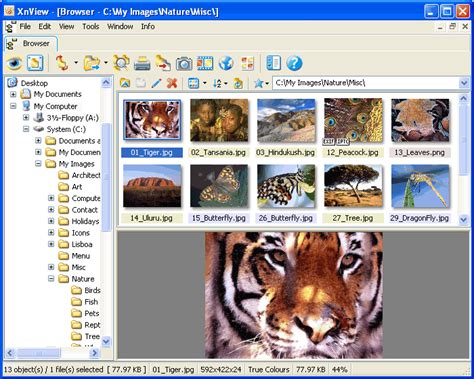 Software Review Xnview Organize Pictures