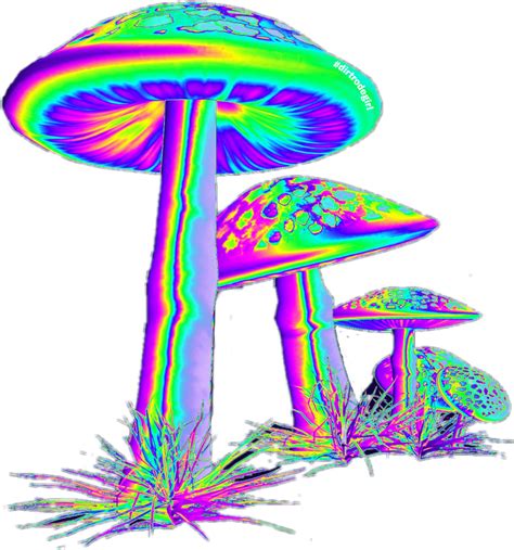 Trippy Mushroom Drawing at PaintingValley.com | Explore collection of png image
