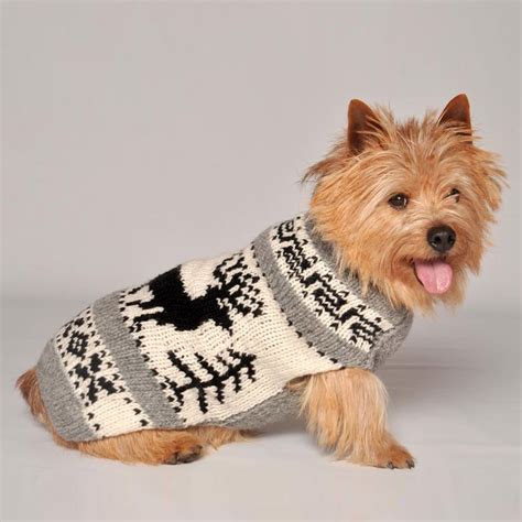 Can Dogs Wear Sweaters