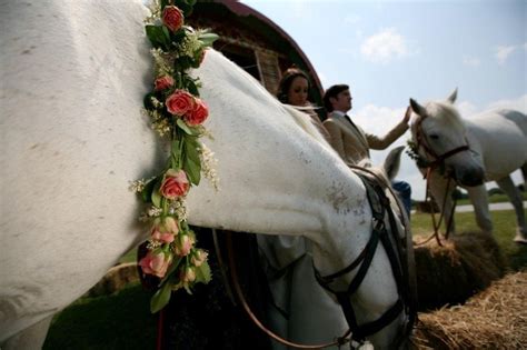 Horses At Wedding With Flowers Bridal Horses Getting Married
