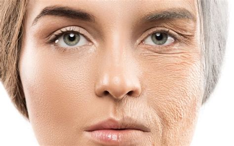 Understanding Skin Ageing What Happens When Skin Ages Kosmoderma