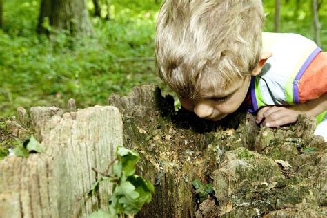 Why Every Child Should Learn To Be A Ranger Of The Wild Outdoors