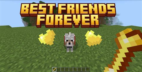 Best Friends Forever Addon For Minecraft