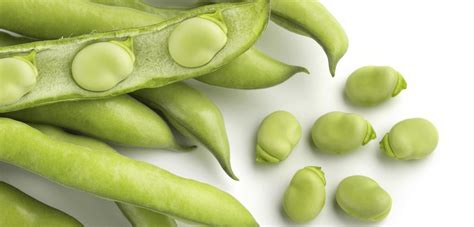 From favorite or favourite, by shortening. Altro che due piccioni: le proprietà e i benefici delle fave - Green.it