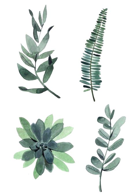 Watercolor Painting Drawing Plant Illustration Watercolor Leaves Four