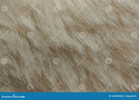 Light Brown Dog Fur Stock Photo Image Of Natural Softness 149549260