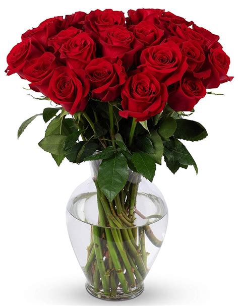 Benchmark Bouquets 2 Dozen Red Roses With Vase Dozen Roses On Amazon