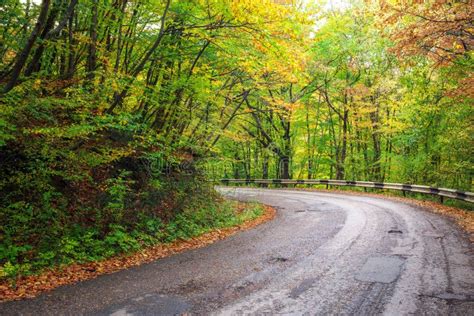 Road In Colorful Autumn Forest Stock Photo Image Of Beautiful Plant