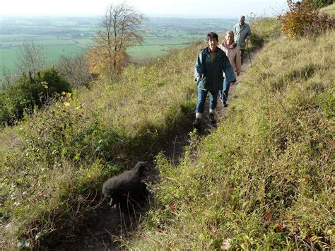 Devizes Days In Words And Pictures 2015 A Walk Over Roundway Down