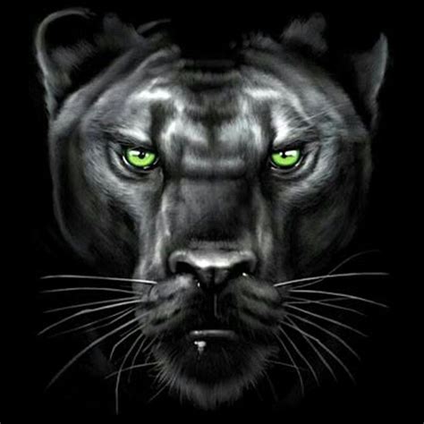 Pin By Daniel Sahadeo On Tattoos Panther Black Panther Girl Face Tattoo