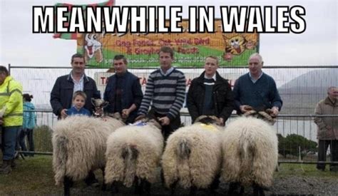 Meanwhile In Wales Picture Ebaums World