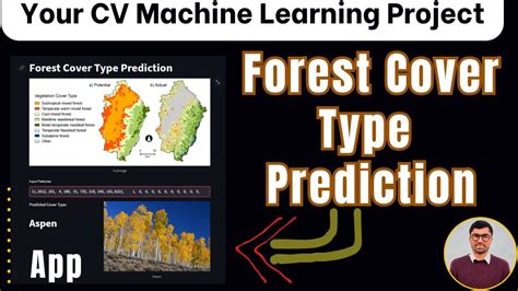 Forest Cover Type Prediction Machine Learning End To End Project Urdu