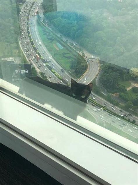 جابتن بومبا دان ڤڽلامت مليسيا) merupakan satu agensi bomba dan penyelamat di malaysia. M'sia firefighters go on extremely serious mission to ...