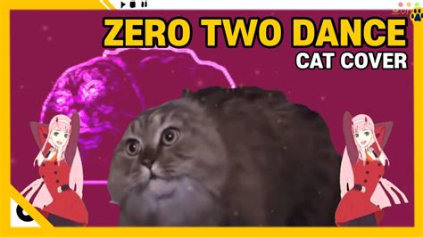제로투댄스 고양이 리믹스 Zero Two Dance Cat Youtube