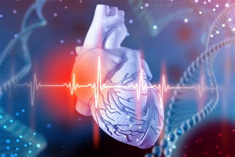 Study Health Care Providers Should Listen To Patients On Heart Rhythm