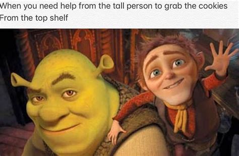 20 Really Funny Shrek Memes Thatll Make You Laugh Over And Over Again