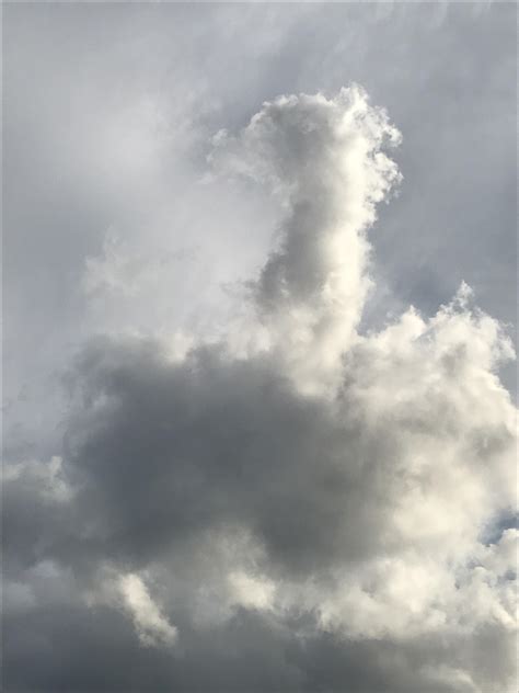 penis shaped cloud r mildlyinteresting