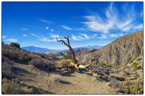 The Top Joshua Tree National Forest Ca Nikon D800e 24 Flickr