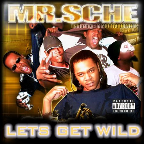 Lets Get Wild Album By Mr Sche Spotify