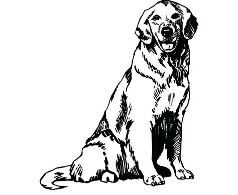 Lab coloring pages at getcolorings.com | free printable. Golden Retriever Coloring Pages - Best Coloring Pages For Kids