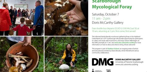 Scarborough Mycological Foray | OCAD UNIVERSITY