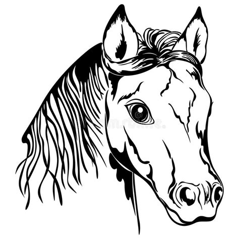 Het Zwarte Paardhoofd + Schetst Vector Illustratie Illustratie