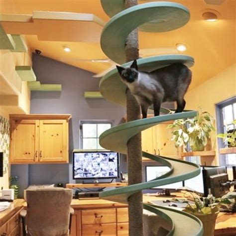 Cat Friendly Home Design Sunset Magazine