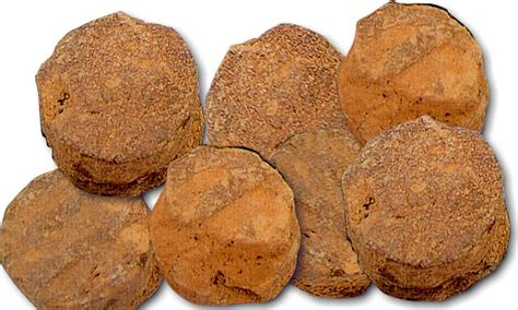 See more ideas about resipi makanan, cili. Spices / Rempah Ratus | SELAMAT DATANG KE