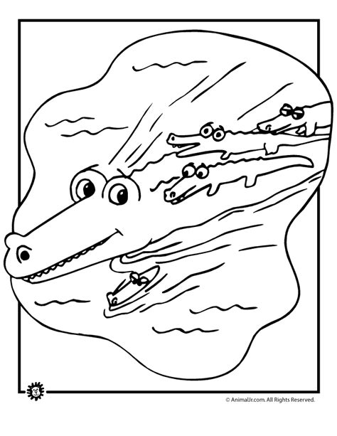 This picture will help your child learn about the alligator's offspring while he enjoys coloring this cute baby alligator. Alligators and crocodiles coloring pages download and ...
