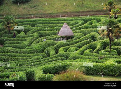 Maze Glendurgan Gardens Hi Res Stock Photography And Images Alamy