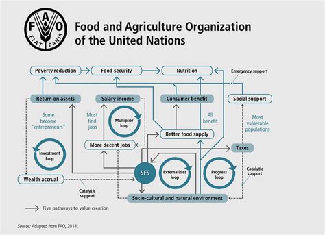 Sustainable Food Systems Concept And Framework By Fao United Nations