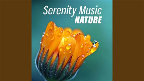 Instrumental Nature Sounds Youtube