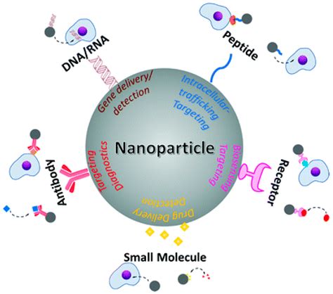 Molecules Free Full Text Gold Nanoparticles In Conjunction With
