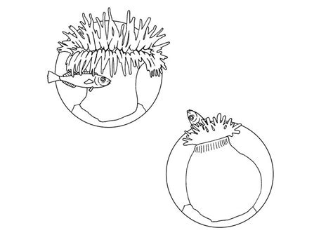 Find your favorite color by number coloring page on hellokids! Coloring Page sea anenome eats fish - free printable ...