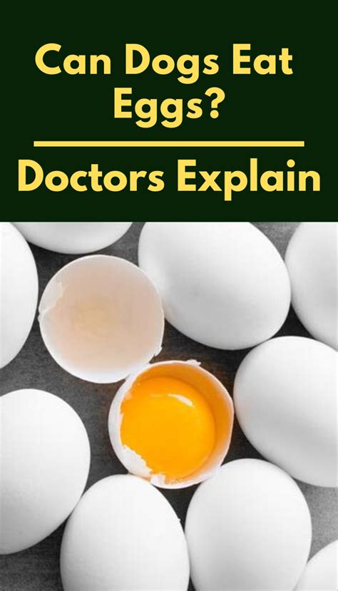 While eggs are a good source of muscle building protein, realistically, mickey should've said ya wanna die of. Can Dogs Eat Eggs? (raw, Boiled or Scrambled). Doctors ...