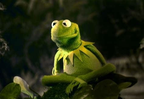 Introduced in 1955, kermit serves as the straight man protagonist of numerous muppet productions, most notably sesame street and the muppet show, as well as in other television series, feature films, specials, and public service announcements through the years. Kermit the Frog - Fictional Characters Wiki