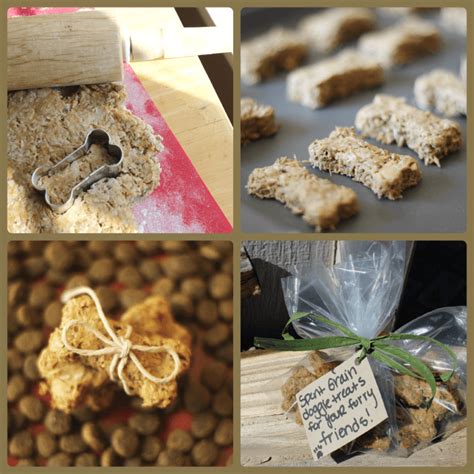 How To Store Spent Grains For Dog Treats