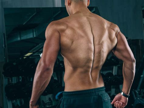 The Best Muscle Building Back Exercises Build A Beautiful And Strong